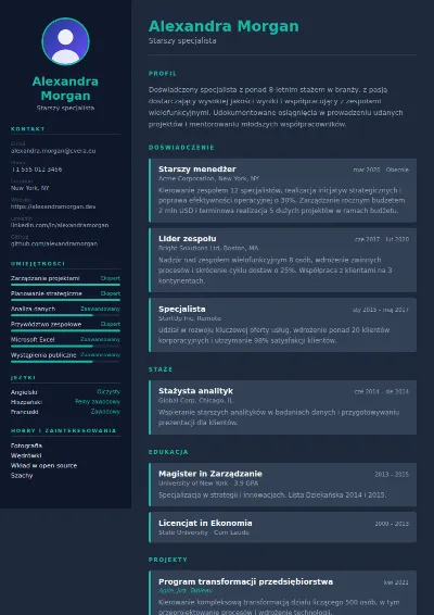 Szablon CV Slate