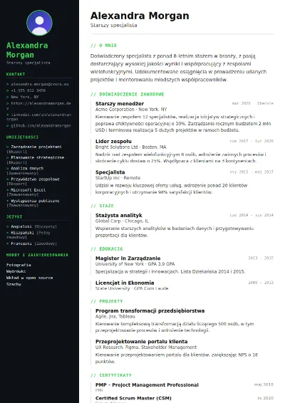 Szablon CV Tech