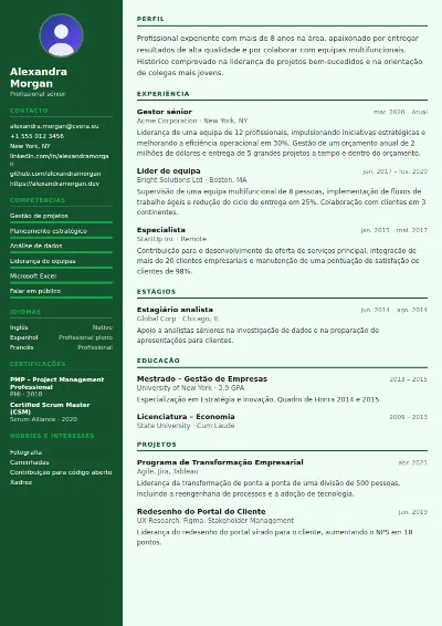 Modelo de CV Accountant