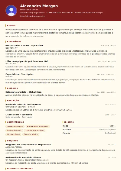 Modelo de CV Attorney