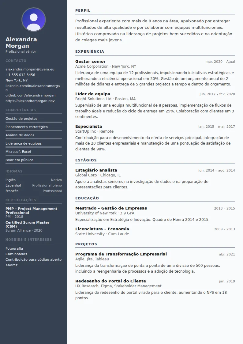Modelo de CV Auditor