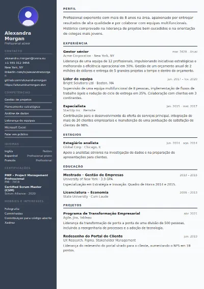 Modelo de CV Auditor