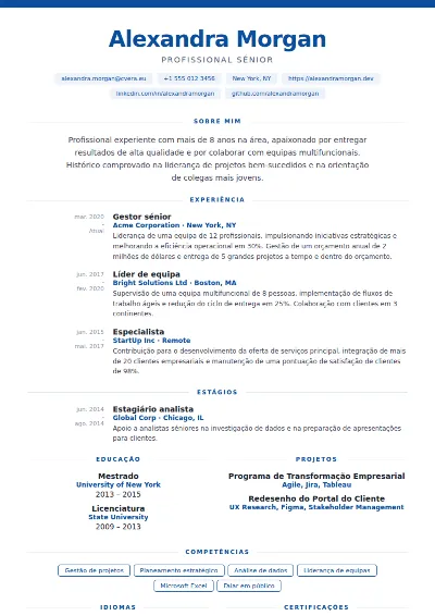 Modelo de CV Cobalt