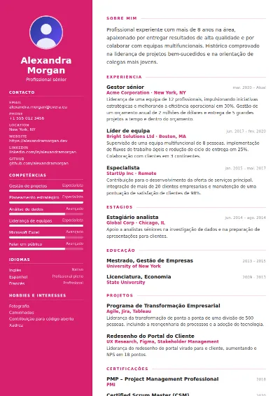 Modelo de CV Colorfield