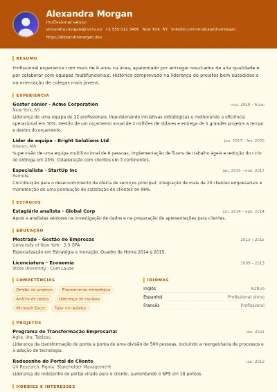 Modelo de CV Construction