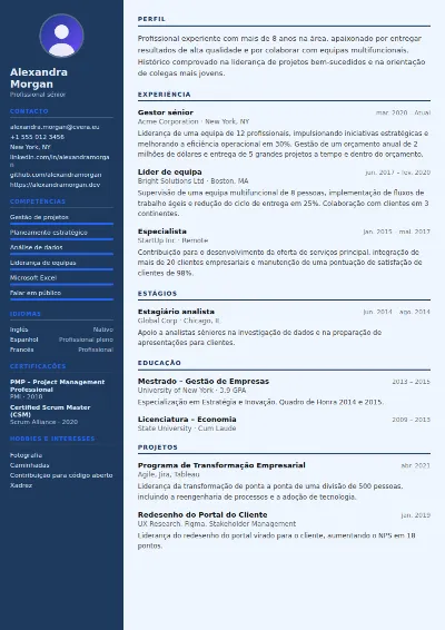 Modelo de CV Economist