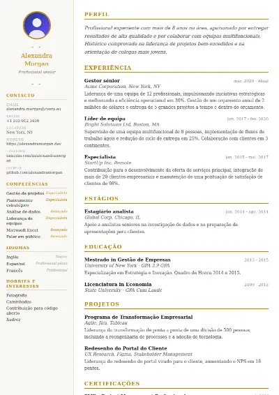 Modelo de CV Elegant