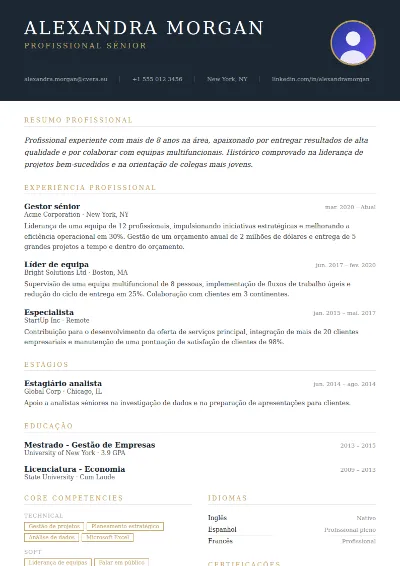 Modelo de CV Executive