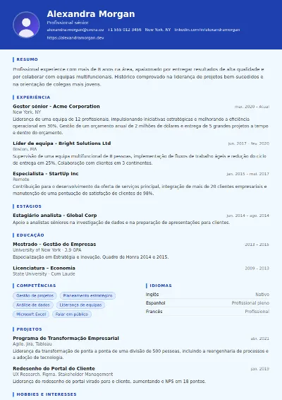 Modelo de CV Financial Analyst