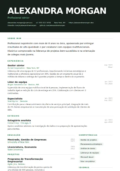 Modelo de CV Headline