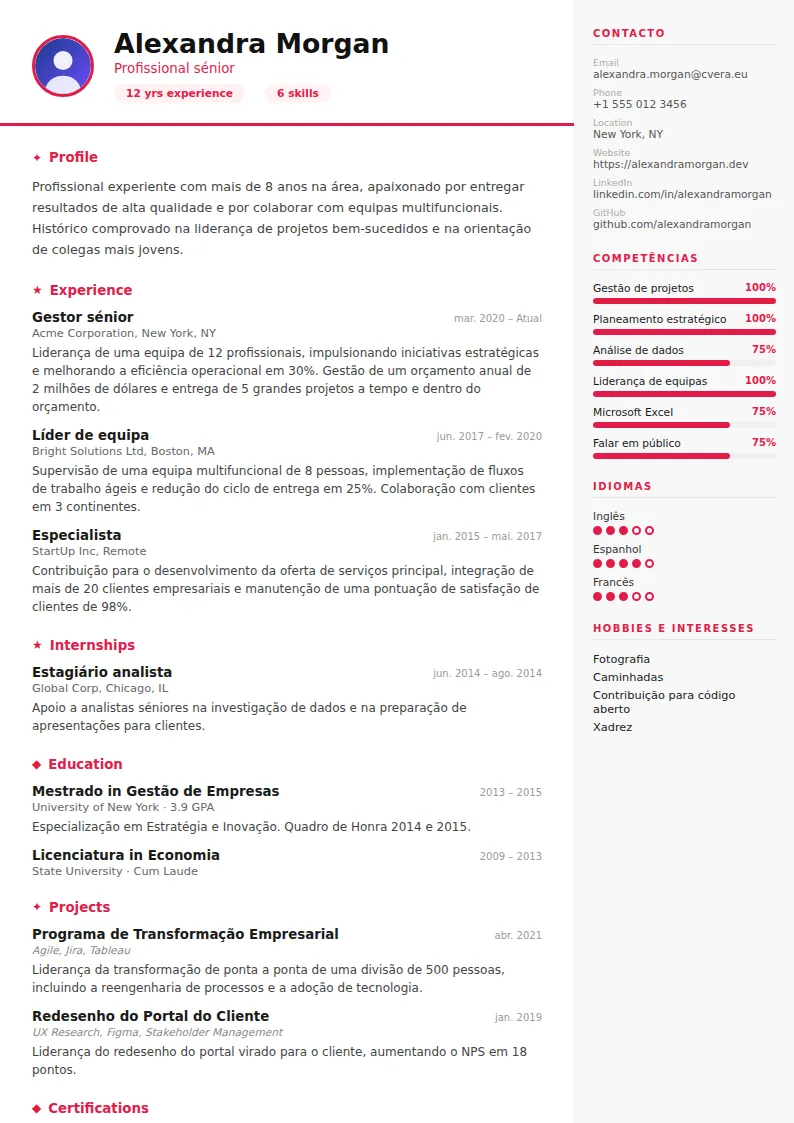 Modelo de CV Infographic