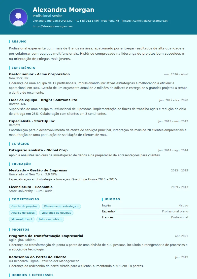 Modelo de CV IT Support