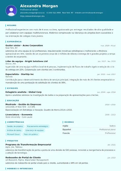 Modelo de CV IT Support