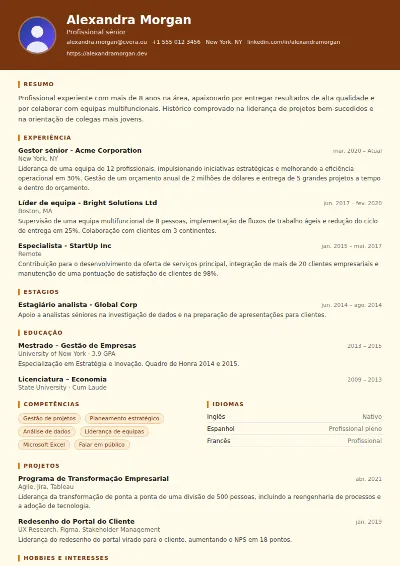 Modelo de CV Librarian
