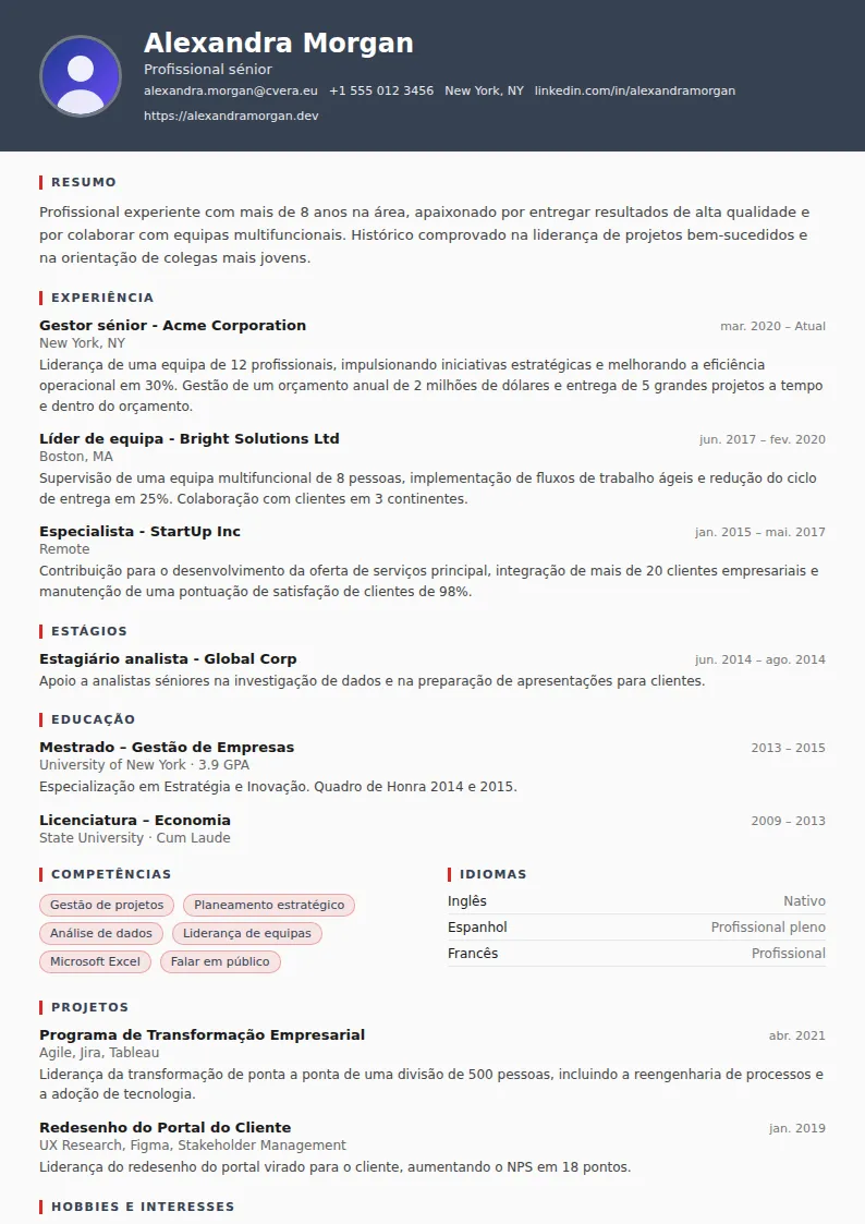 Modelo de CV Mechanic