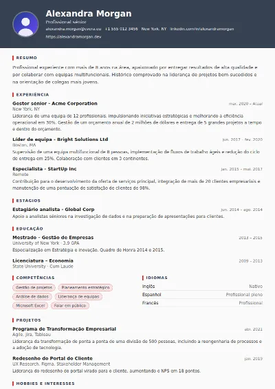 Modelo de CV Mechanic