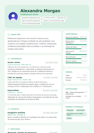 Modelo de CV Mint