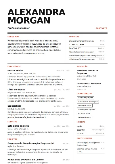 Modelo de CV Monolith
