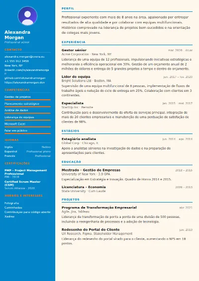 Modelo de CV Physiotherapist