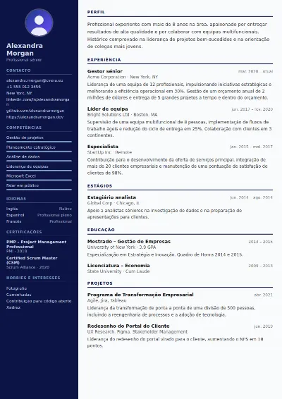 Modelo de CV Pilot