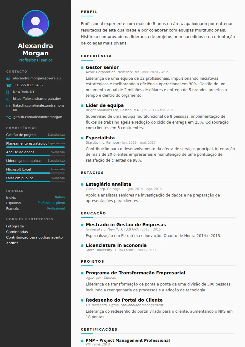 Modelo de CV Sleek