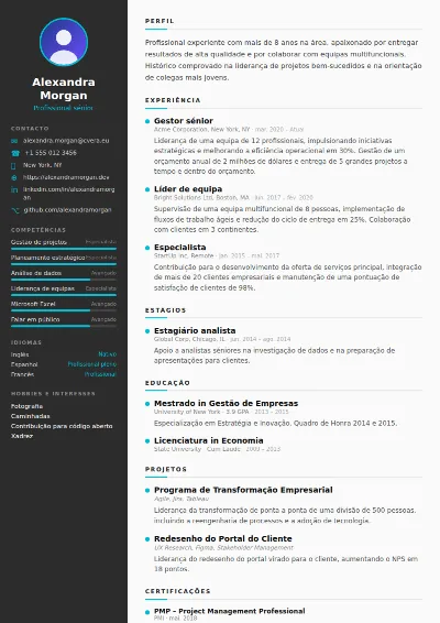 Modelo de CV Sleek