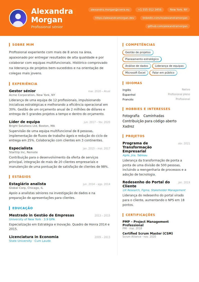 Modelo de CV Vibrant