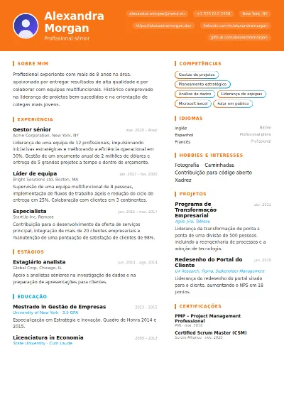 Modelo de CV Vibrant