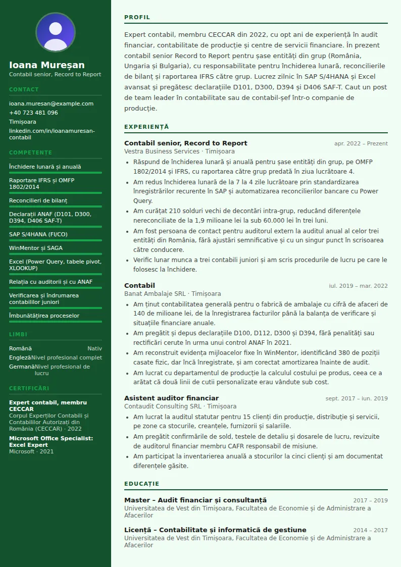 Exemplu CV contabil