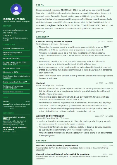 Exemplu CV contabil