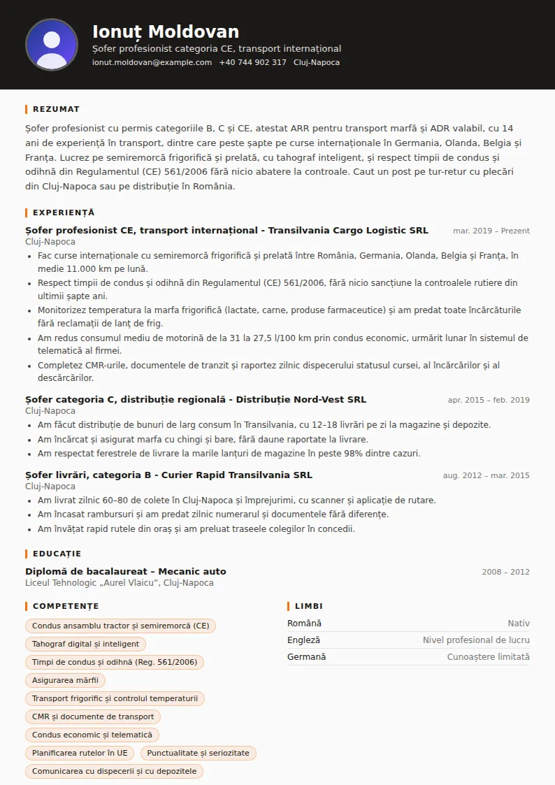 Model CV șofer profesionist