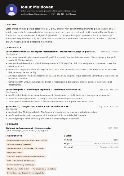 Model CV șofer profesionist