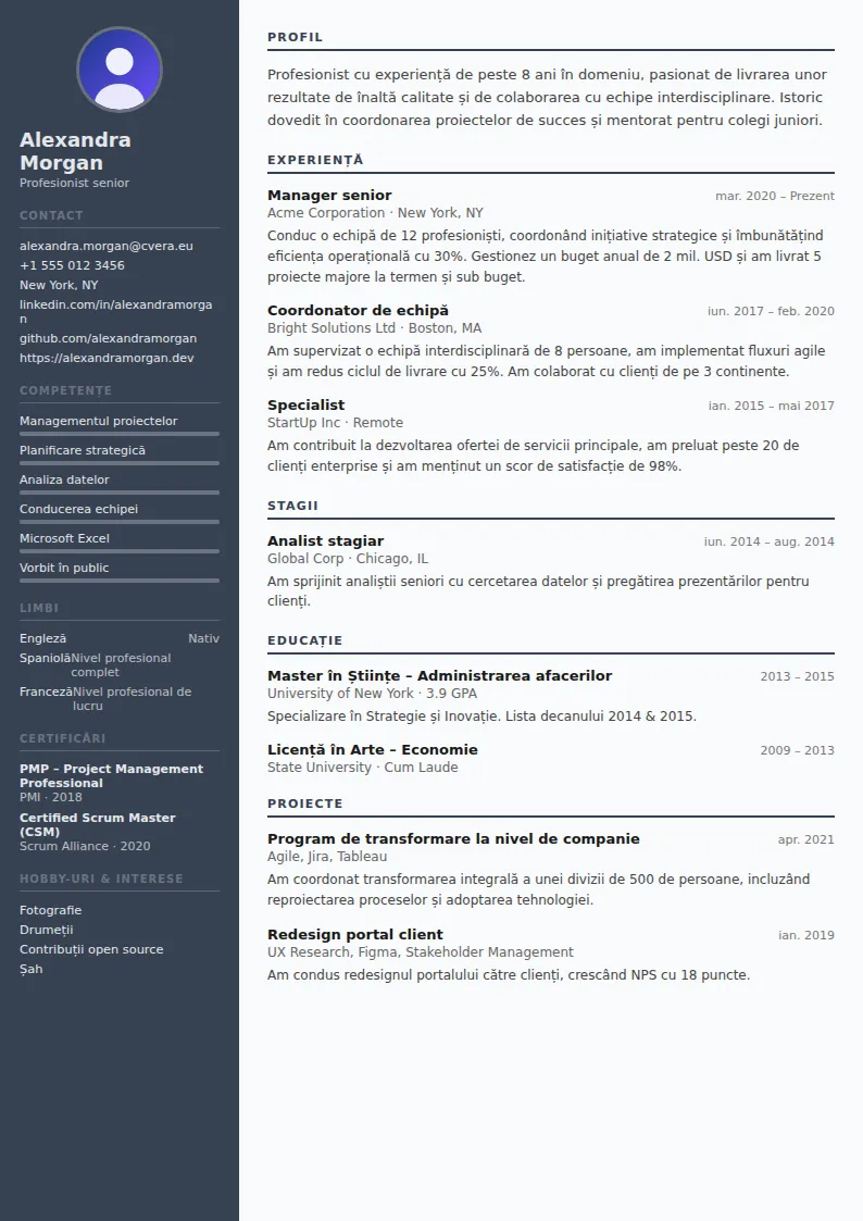 Model de CV Auditor