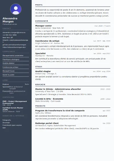 Model de CV Auditor