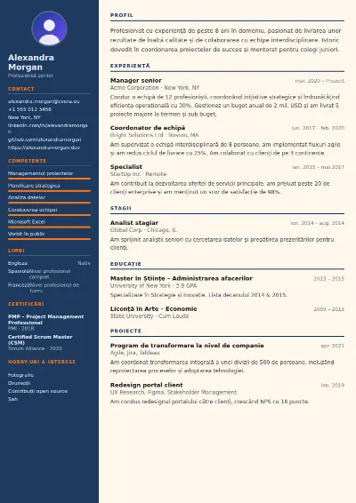 Model de CV Civil Engineer