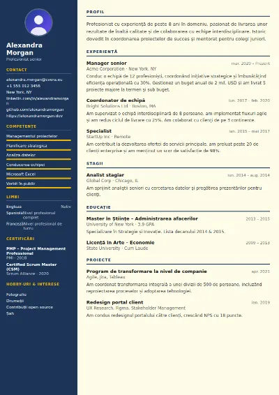 Model de CV Electrician
