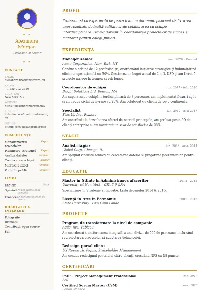 Model de CV Elegant