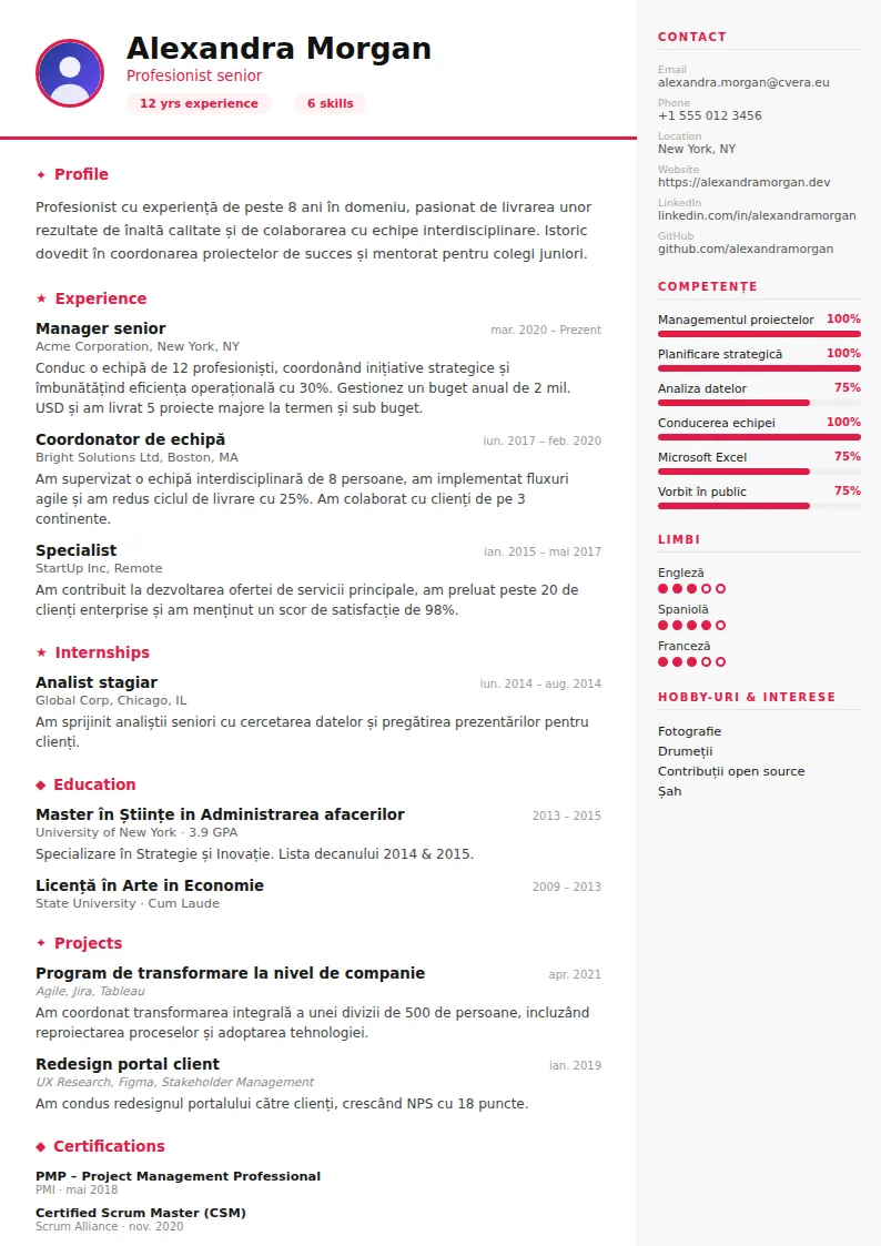 Model de CV Infographic
