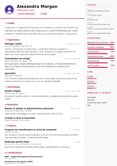 Model de CV Infographic