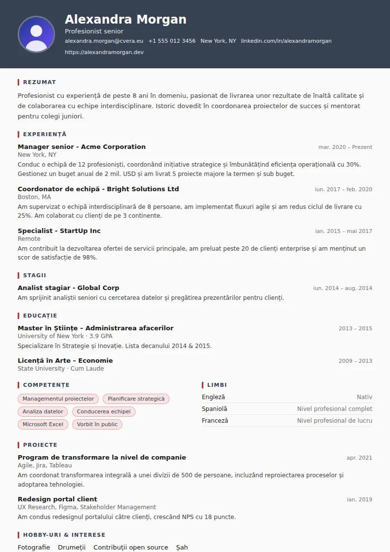 Model de CV Mechanic