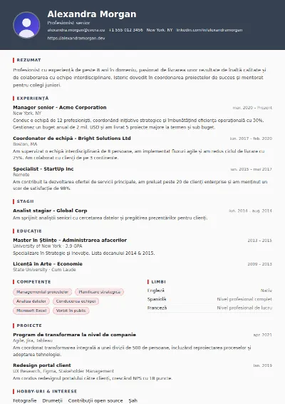 Model de CV Mechanic