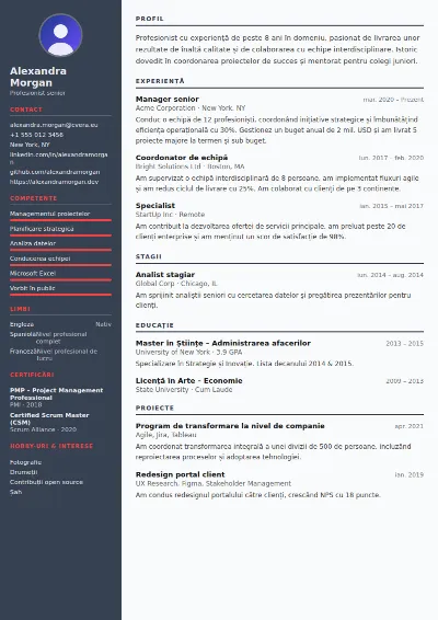 Model de CV Mechanical Engineer