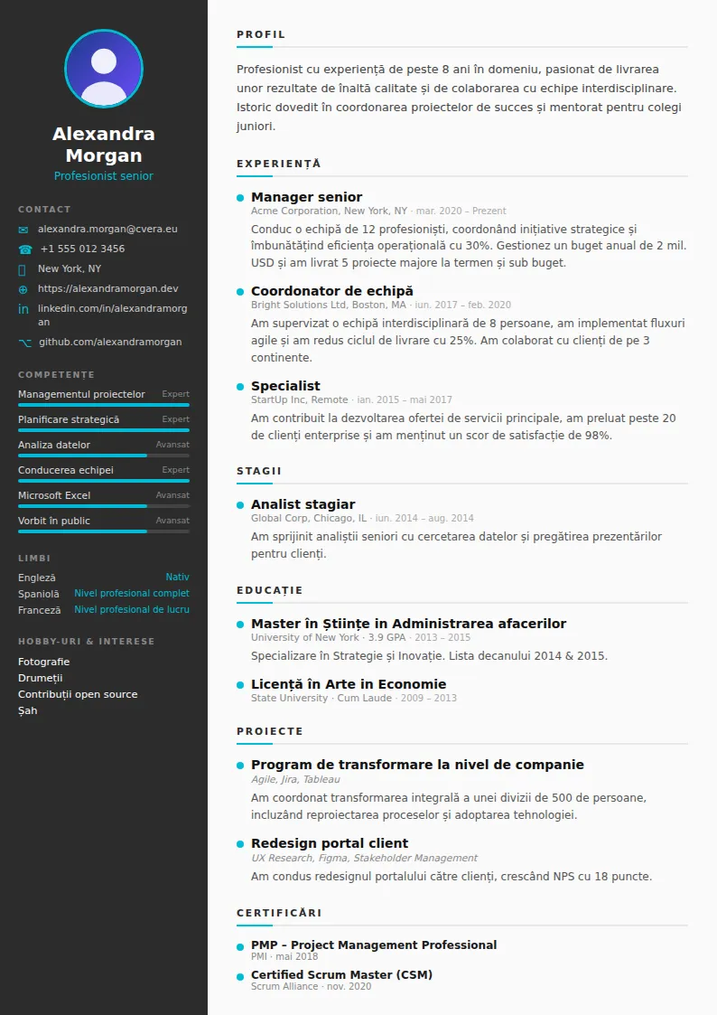 Model de CV Sleek