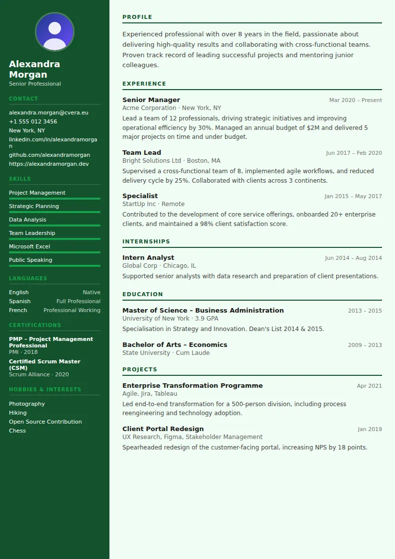 Accountant CV Template