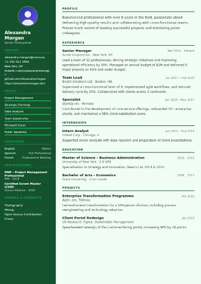 Accountant CV Template
