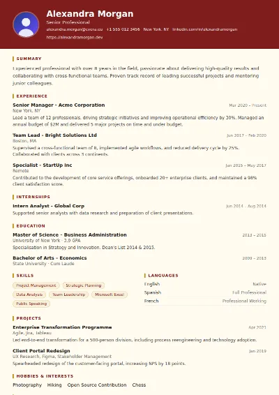 Attorney CV Template