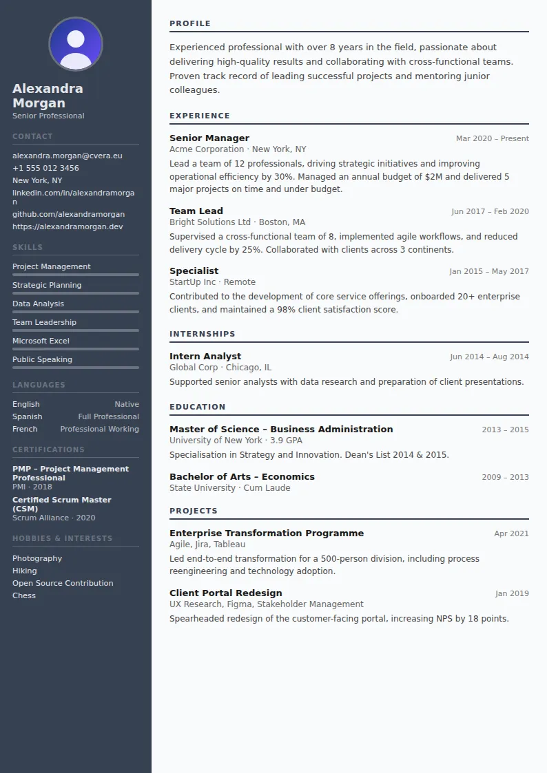 Auditor CV Template