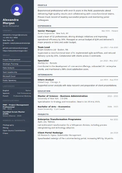 Auditor CV Template