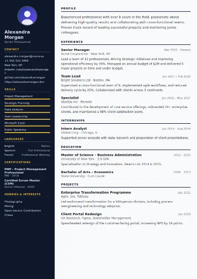 Banker CV Template