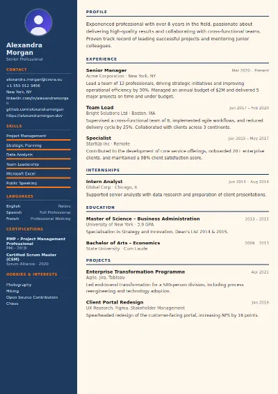 Civil Engineer CV Template